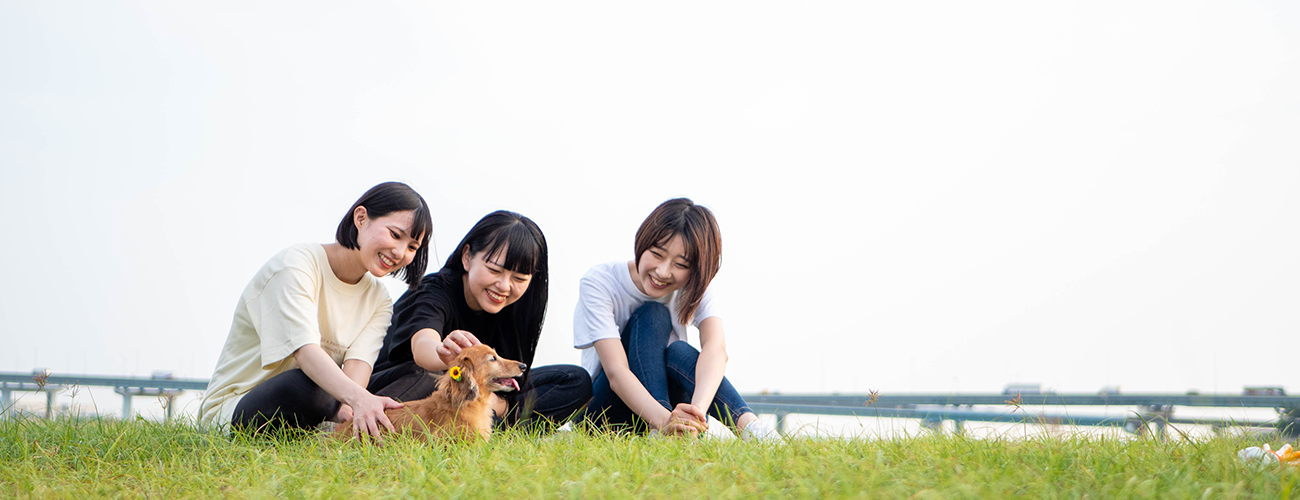 公園にいる女の子たちと犬