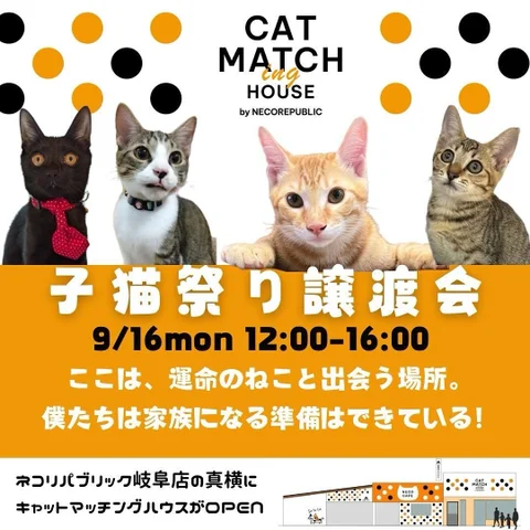 子猫祭り譲渡会のポスター