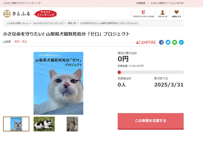 動物保護の寄付受付