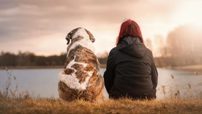 犬と人が湖を見てる画像