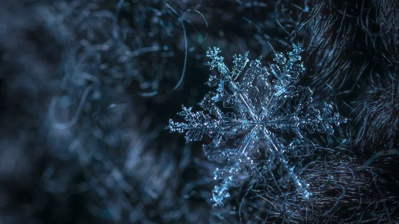 雪の結晶