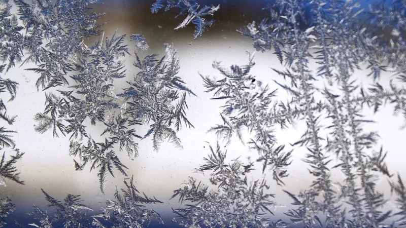 雪の結晶