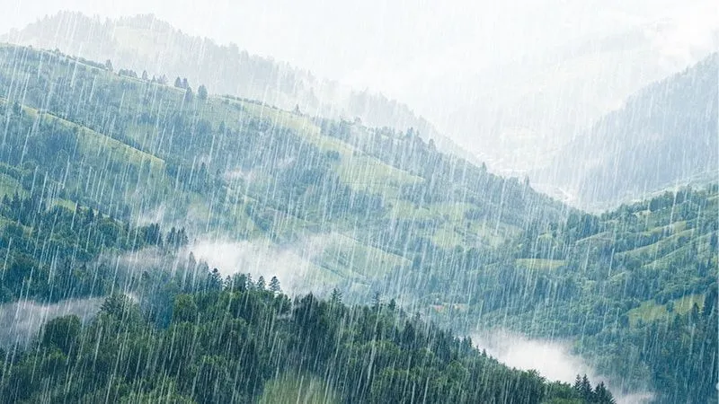 雨降りの様子