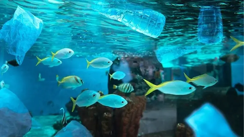 プラスティックと魚