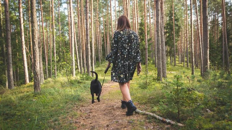 犬の散歩