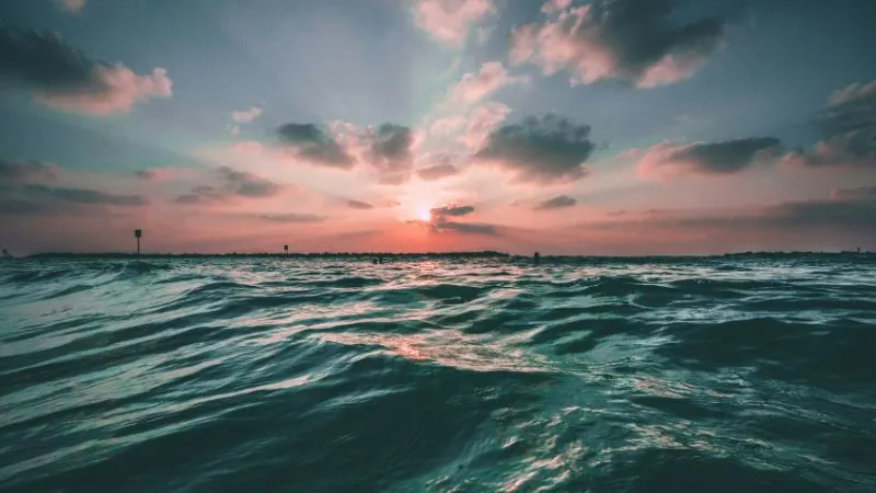 海