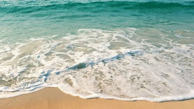 海