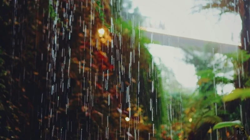 雨