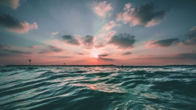 海
