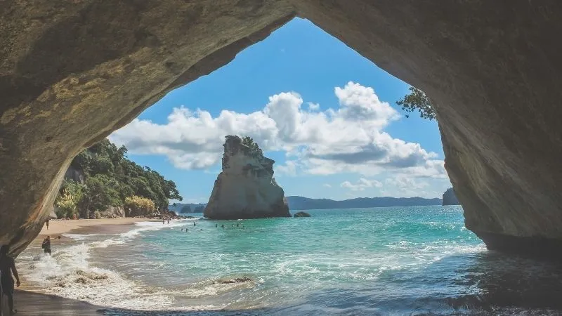 海