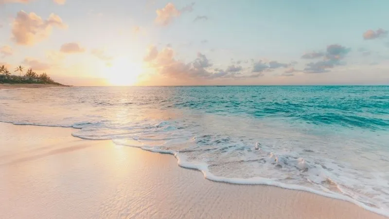 海