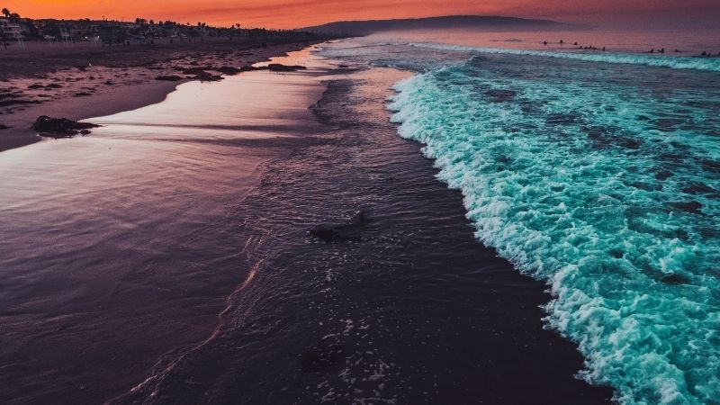 海