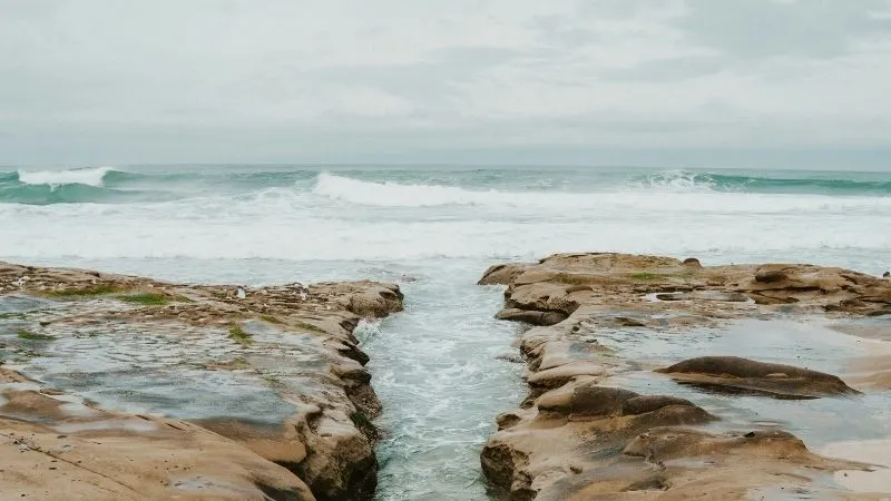 海