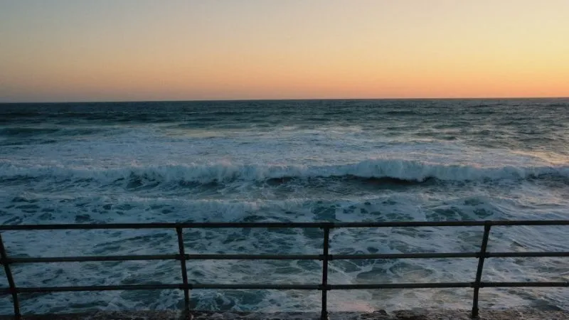 海